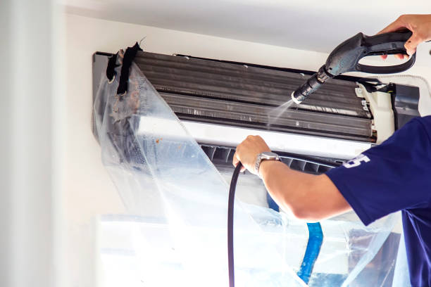 Air Duct Mold Removal in Three Oaks, FL